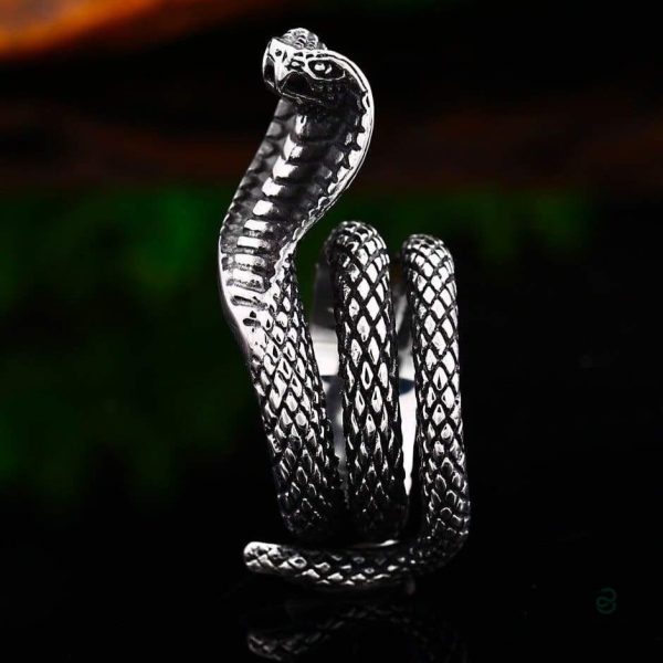 Bijou serpent en acier inoxydable