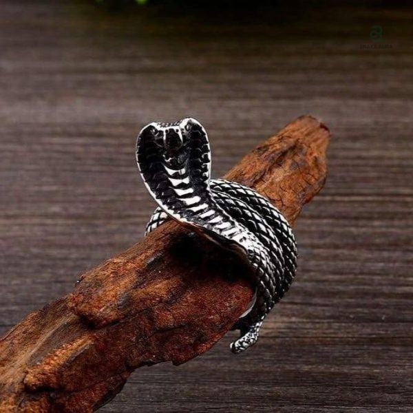 Bague serpent acier, style audacieux