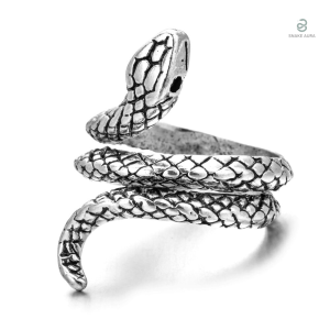 Bague serpent en acier inoxydable