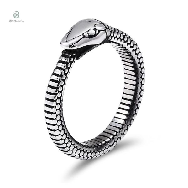Bague Ouroboros Homme en forme de serpent