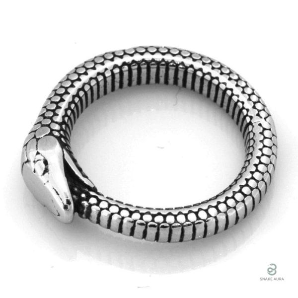 Bague serpent argentée pour homme
