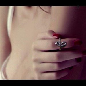 Bague en argent représentant un serpent, allure classique