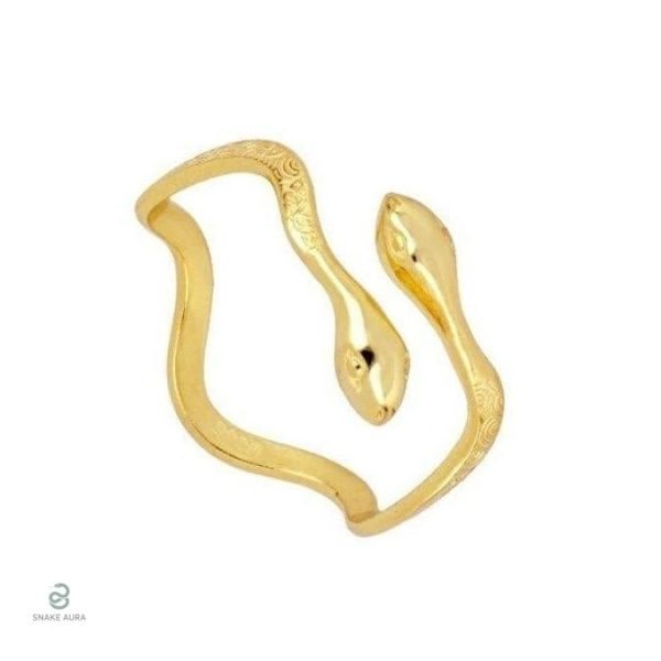 Bague serpent chic en or et argent