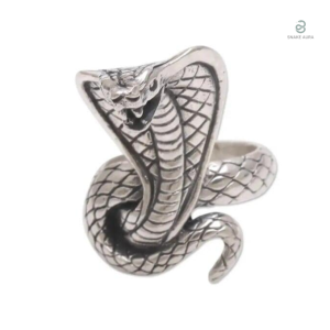 Bague serpent en acier, design cobra égyptien élégant