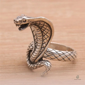 Cobra égyptien, bague serpent en acier inoxydable moderne