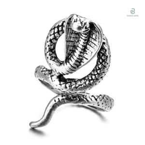 Bague Serpent Cobra Égyptien en Acier Inoxydable