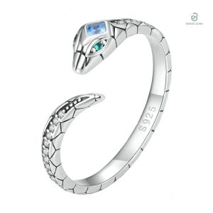 Bague serpent éternité femme en argent