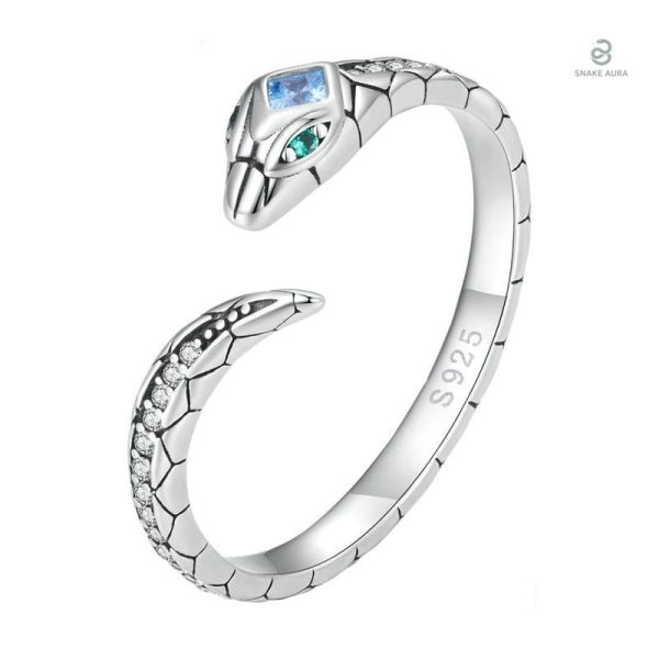 Bague serpent éternité femme en argent