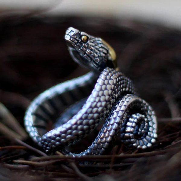 Accessoire serpent vintage, bague pour homme