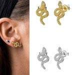 Boucles d'oreilles serpent en argent avec strass brillants