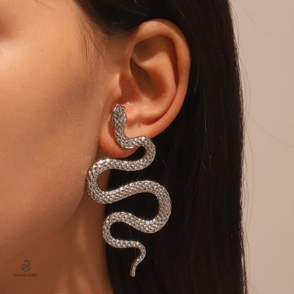 Boucles d'oreilles serpent argenté avec design gothique élégant