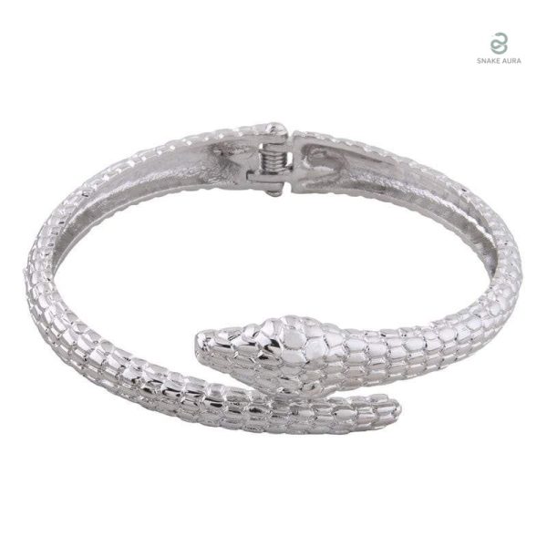 Bracelet argenté serpent en acier inoxydable