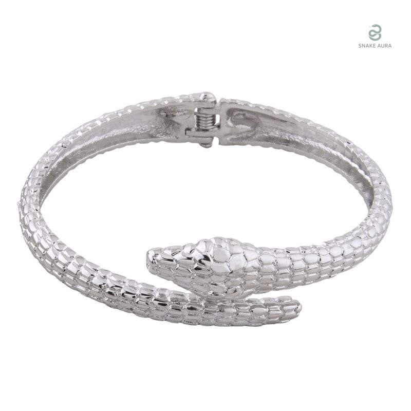 Bracelets serpent